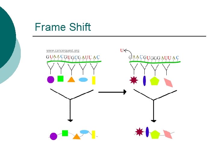 Frame Shift 
