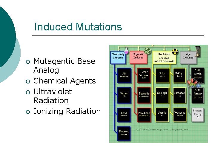Induced Mutations ¡ ¡ Mutagentic Base Analog Chemical Agents Ultraviolet Radiation Ionizing Radiation 