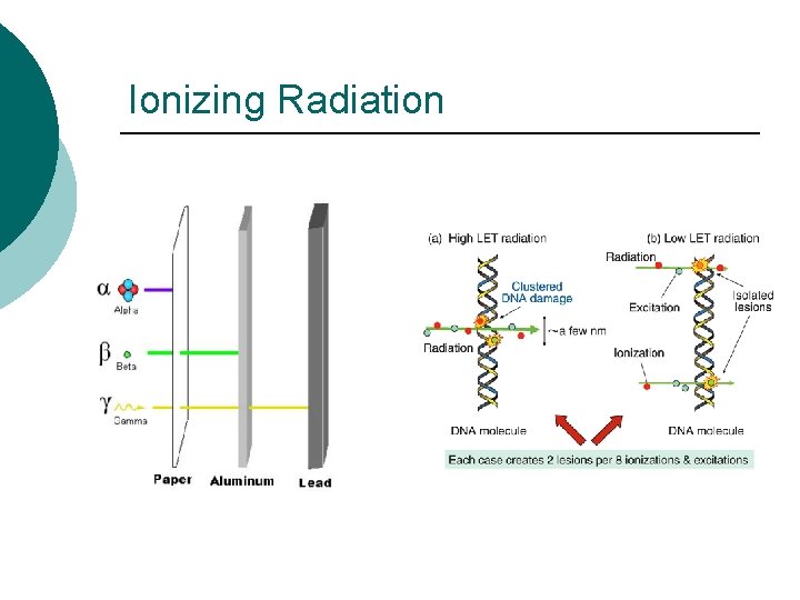 Ionizing Radiation 