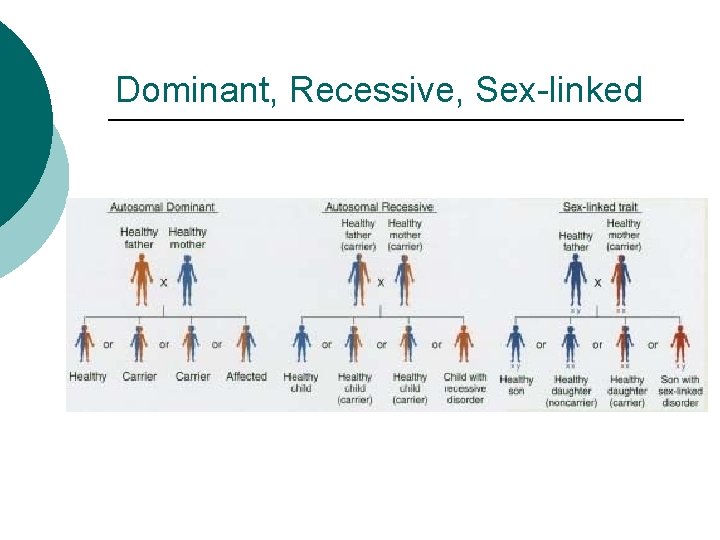 Dominant, Recessive, Sex-linked 