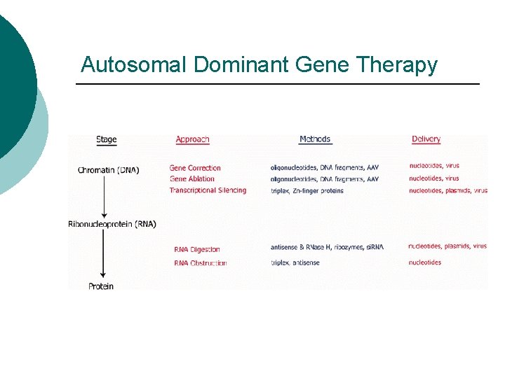 Autosomal Dominant Gene Therapy 