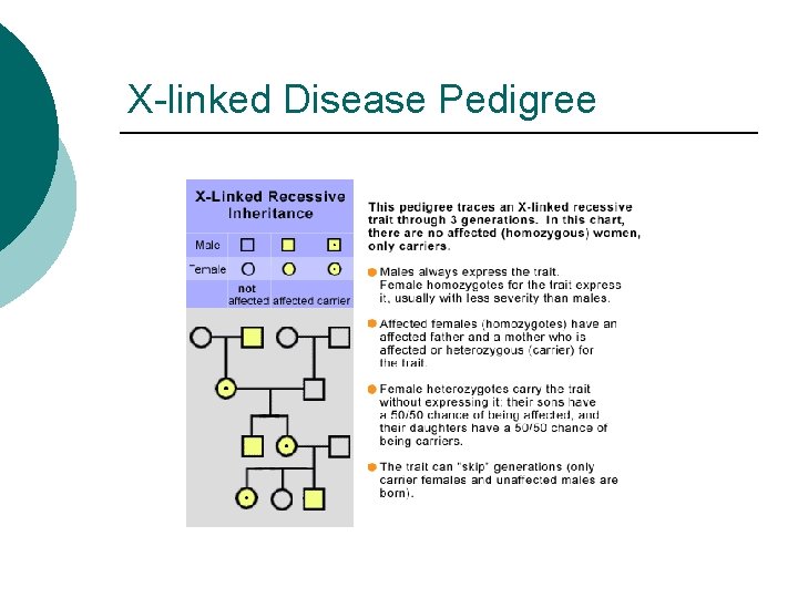 X-linked Disease Pedigree 