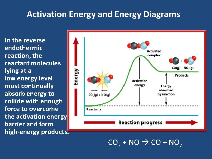 Activation Energy and Energy Diagrams • In the reverse endothermic reaction, the reactant molecules