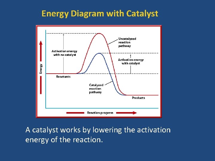 Energy Diagram with Catalyst A catalyst works by lowering the activation energy of the