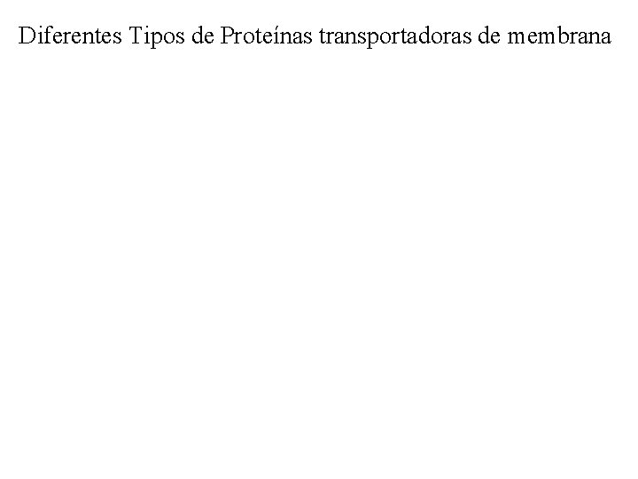 Diferentes Tipos de Proteínas transportadoras de membrana 