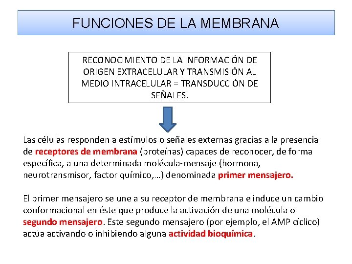 FUNCIONES DE LA MEMBRANA RECONOCIMIENTO DE LA INFORMACIÓN DE ORIGEN EXTRACELULAR Y TRANSMISIÓN AL