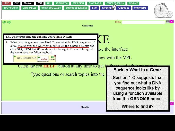 Back to What is a Gene. Section 1. C suggests that you find out