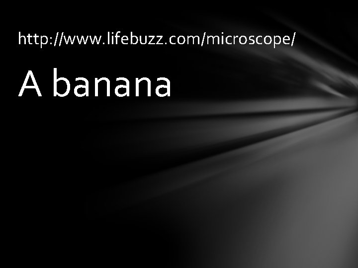 http: //www. lifebuzz. com/microscope/ A banana 