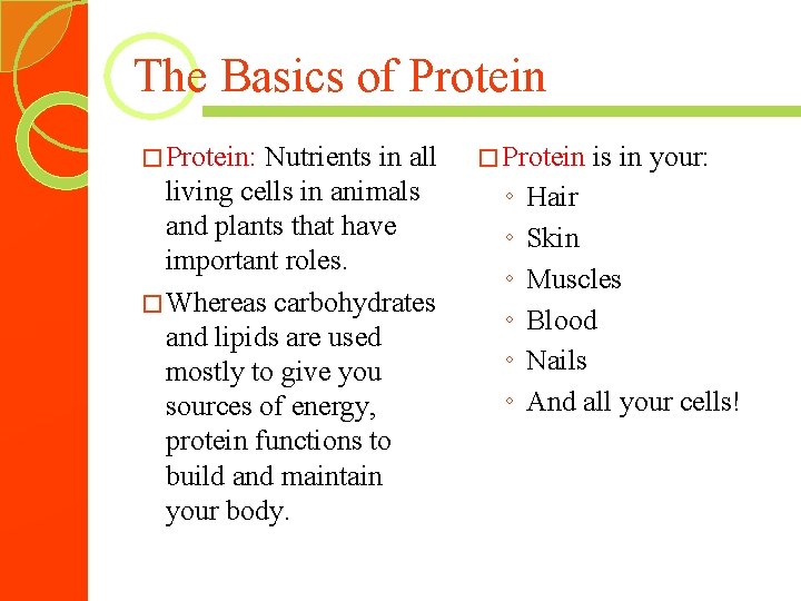The Basics of Protein � Protein: Nutrients in all living cells in animals and