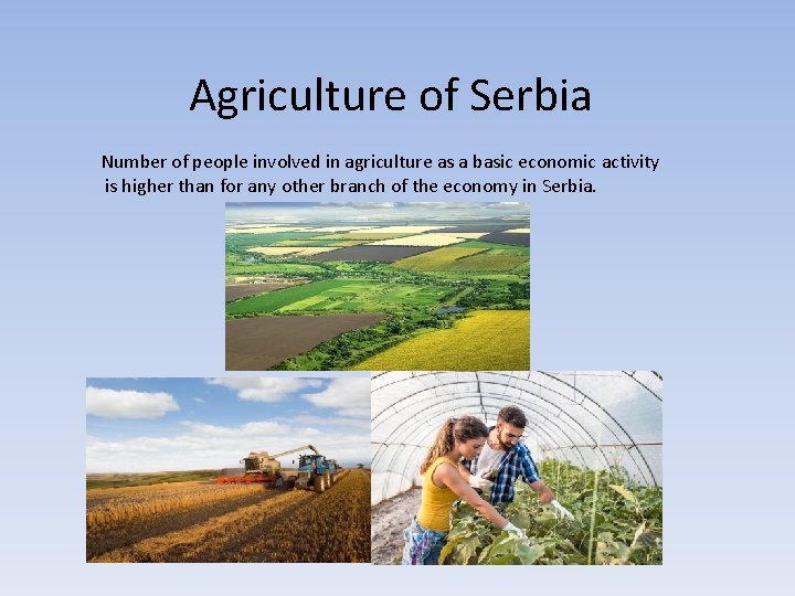 Agriculture of Serbia Number of people involved in agriculture as a basic economic activity