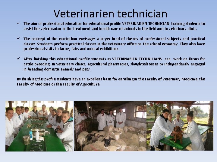 Veterinarien technician ü The aim of professional education for educational profile VETERINARIEN TECHNICIAN training