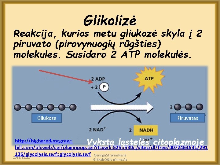 Glikolizė Reakcija, kurios metu gliukozė skyla į 2 piruvato (pirovynuogių rūgšties) molekules. Susidaro 2