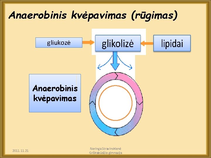 Anaerobinis kvėpavimas (rūgimas) gliukozė Anaerobinis kvėpavimas 2011. 21 Neringa Stravinskienė Griškabūdžio gimnazija 