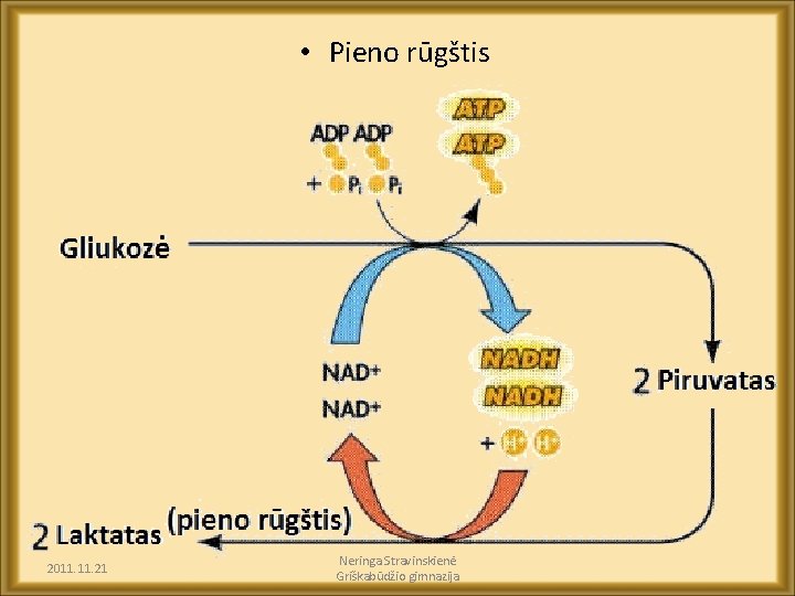  • Pieno rūgštis 2011. 21 Neringa Stravinskienė Griškabūdžio gimnazija 