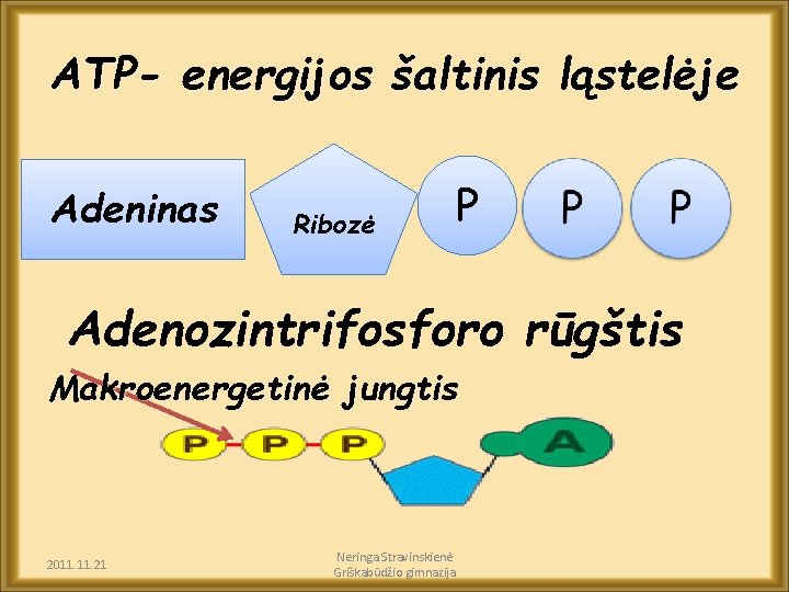 ATP- energijos šaltinis ląstelėje Adeninas Ribozė P Adenozintrifosforo rūgštis Makroenergetinė jungtis 2011. 21 Neringa