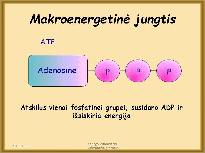 Makroenergetinė jungtis Atskilus vienai fosfatinei grupei, susidaro ADP ir išsiskiria energija 2011. 21 Neringa