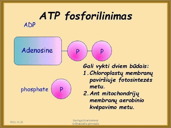 ATP fosforilinimas Gali vykti dviem būdais: 1. Chloroplastų membranų paviršiuje fotosintezės metu. 2. Ant