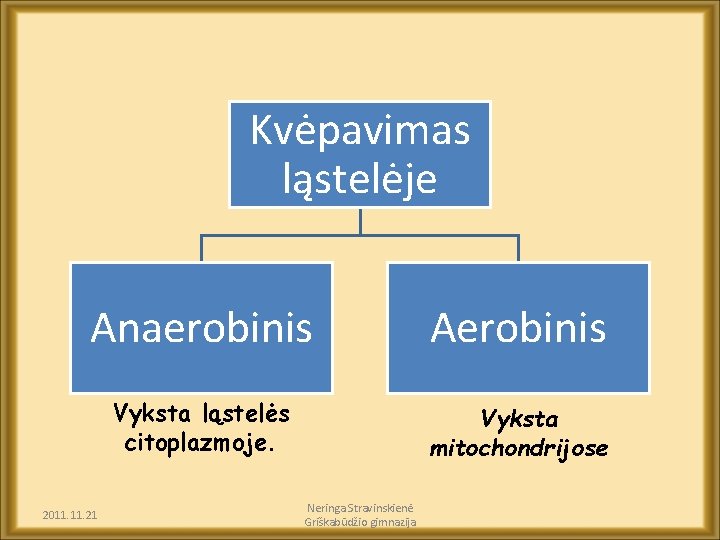 Kvėpavimas ląstelėje Anaerobinis Aerobinis Vyksta ląstelės citoplazmoje. Vyksta mitochondrijose 2011. 21 Neringa Stravinskienė Griškabūdžio