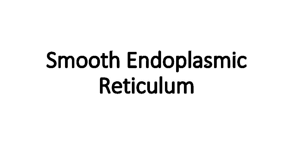 Smooth Endoplasmic Reticulum 