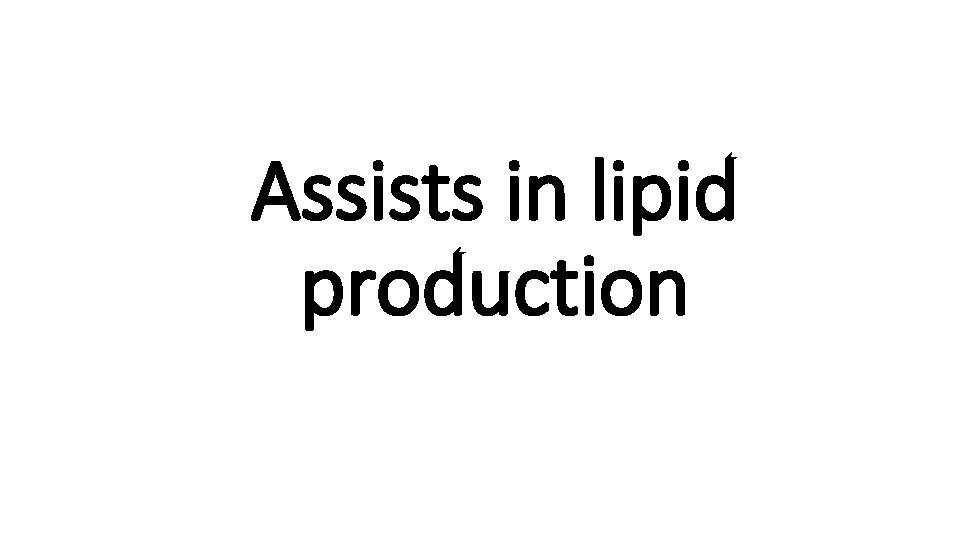 Assists in lipid production 