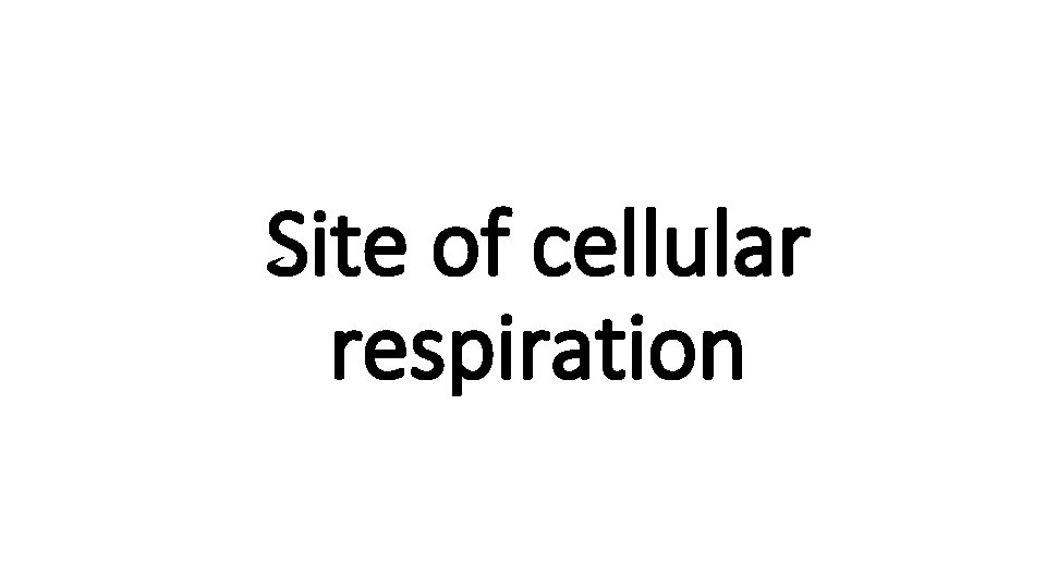 Site of cellular respiration 