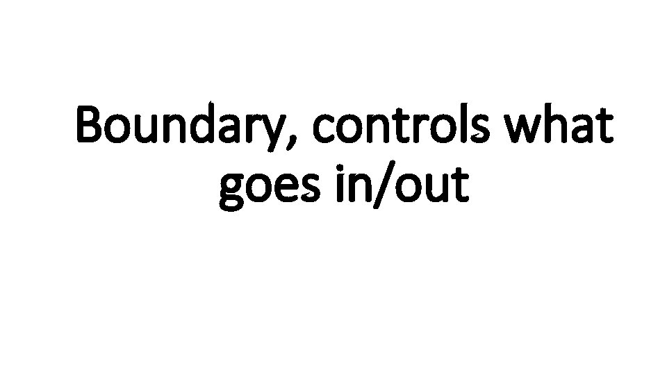 Boundary, controls what goes in/out 