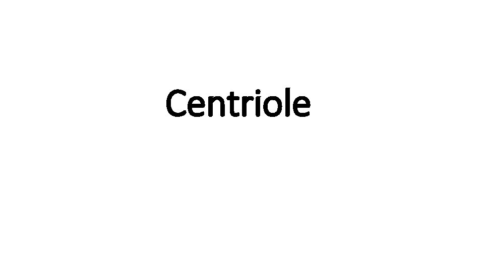 Centriole 