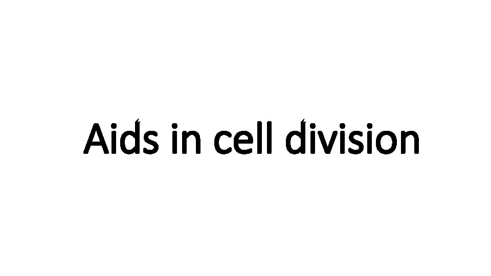 Aids in cell division 