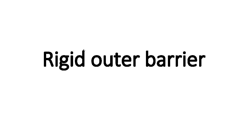 Rigid outer barrier 