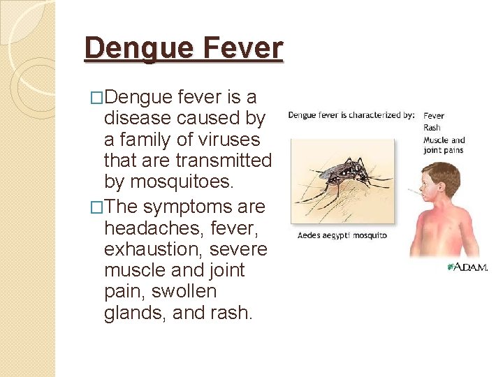 Dengue Fever �Dengue fever is a disease caused by a family of viruses that