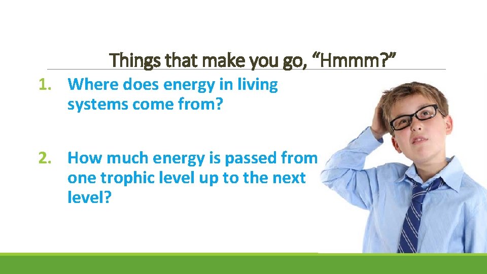 Things that make you go, “Hmmm? ” 1. Where does energy in living systems