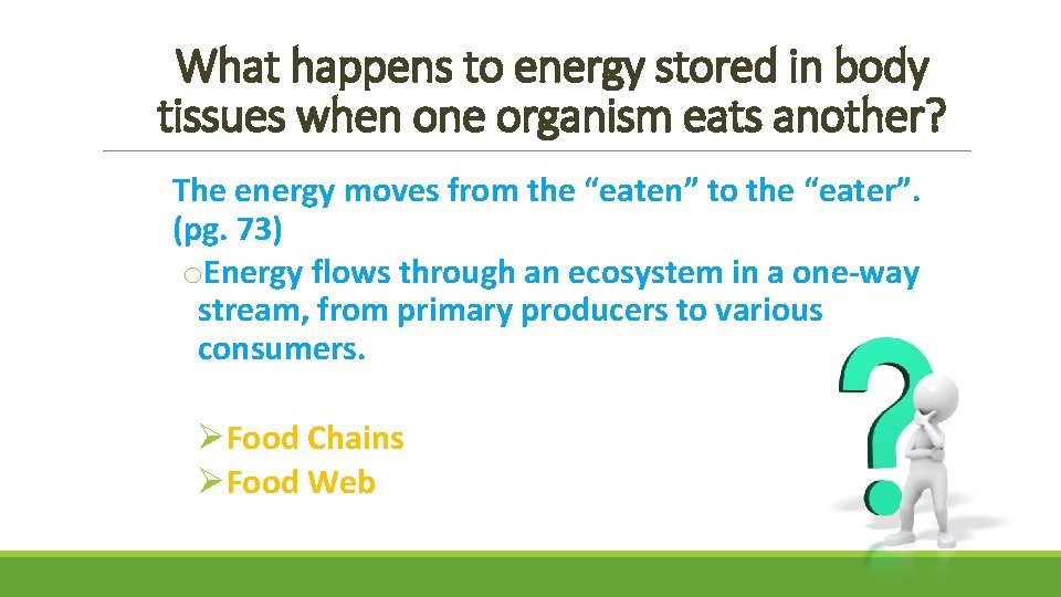 What happens to energy stored in body tissues when one organism eats another? The