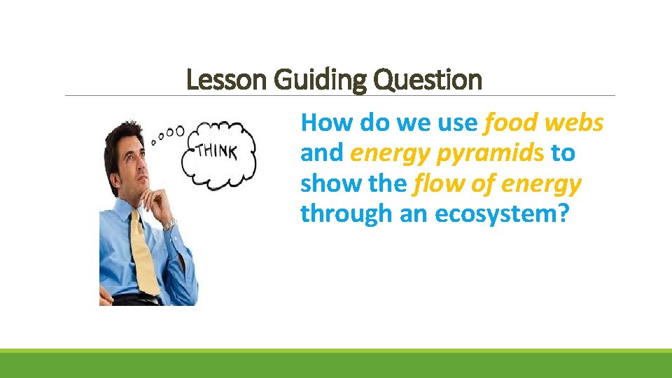 Lesson Guiding Question How do we use food webs and energy pyramids to show