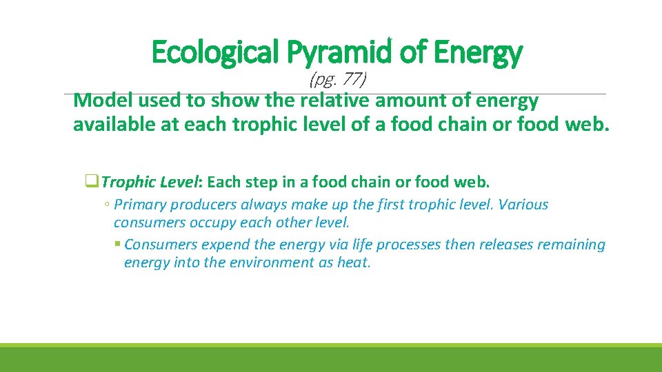 Ecological Pyramid of Energy (pg. 77) Model used to show the relative amount of