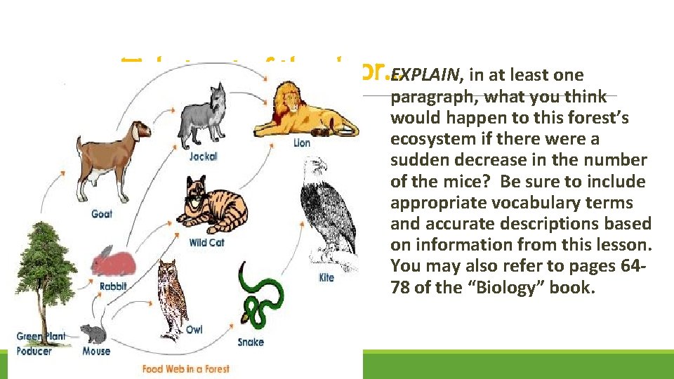 Ticket out of the door…EXPLAIN, in at least one paragraph, what you think would