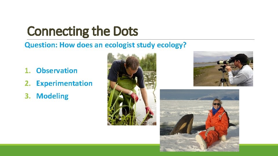 Connecting the Dots Question: How does an ecologist study ecology? 1. Observation 2. Experimentation