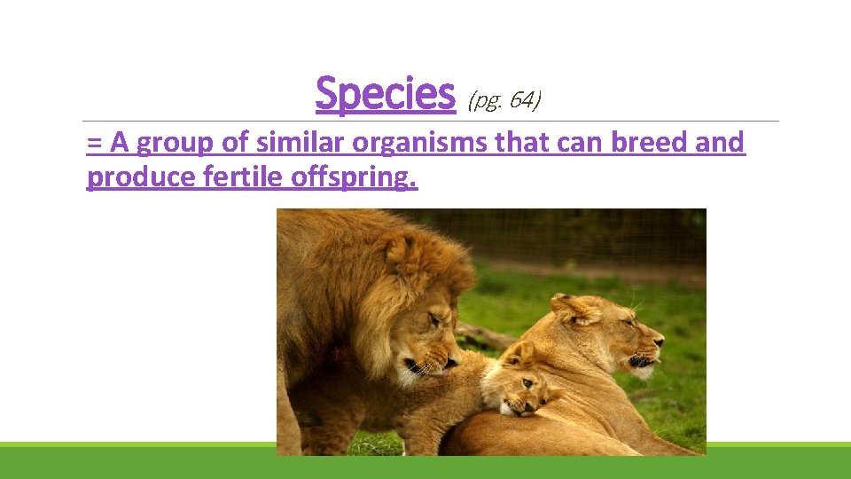 Species (pg. 64) = A group of similar organisms that can breed and produce