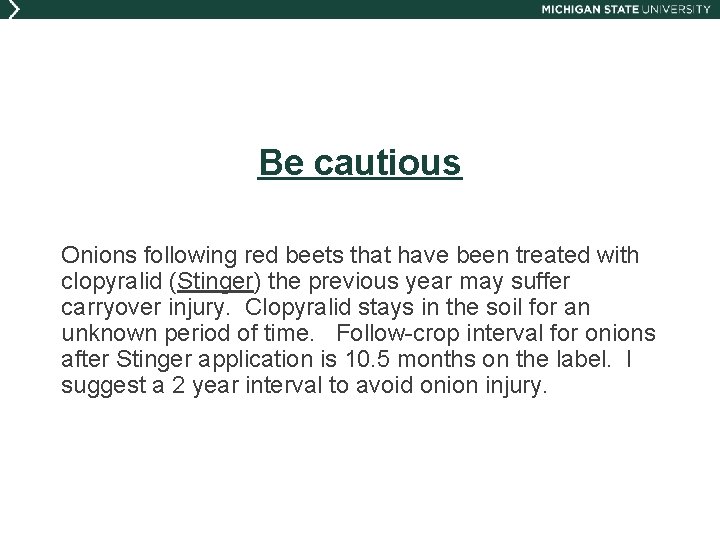 Be cautious Onions following red beets that have been treated with clopyralid (Stinger) the