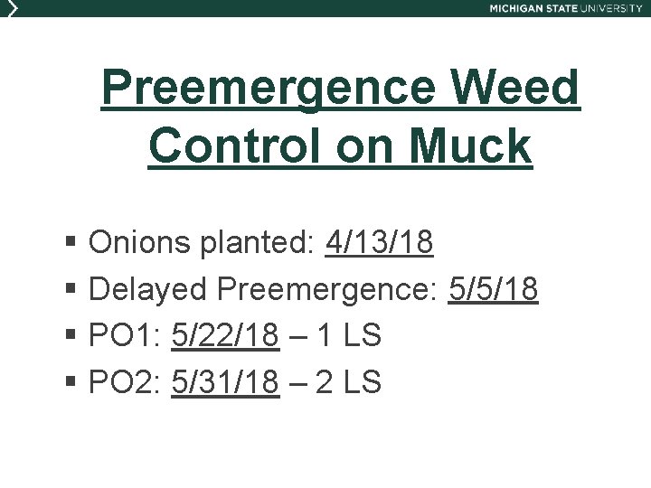 Preemergence Weed Control on Muck § Onions planted: 4/13/18 § Delayed Preemergence: 5/5/18 §