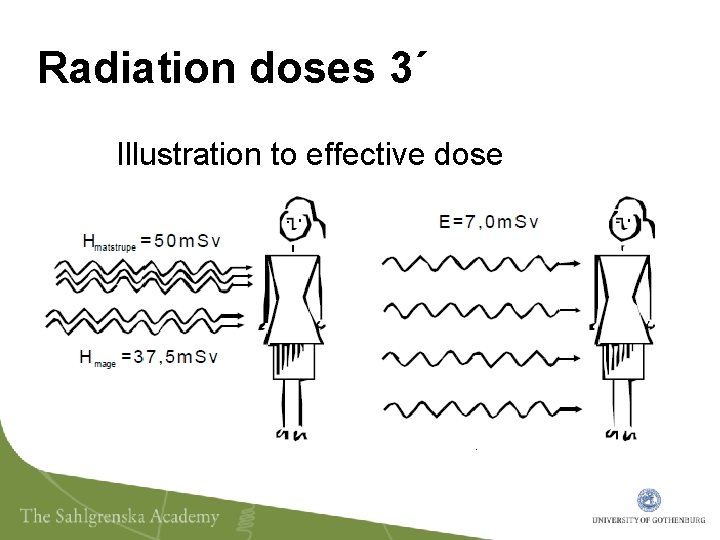 Radiation doses 3´ Illustration to effective dose 