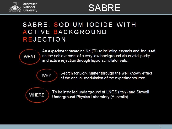 SABRE 7 