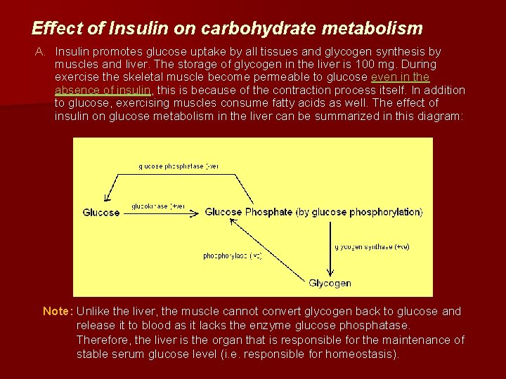 Effect of Insulin on carbohydrate metabolism A. Insulin promotes glucose uptake by all tissues