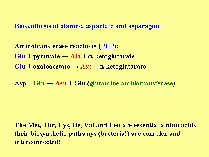 Biosynthesis of alanine, aspartate and asparagine Aminotransferase reactions (PLP): Glu + pyruvate ↔ Ala