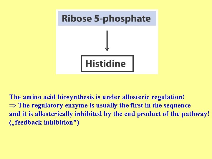 The amino acid biosynthesis is under allosteric regulation! Þ The regulatory enzyme is usually