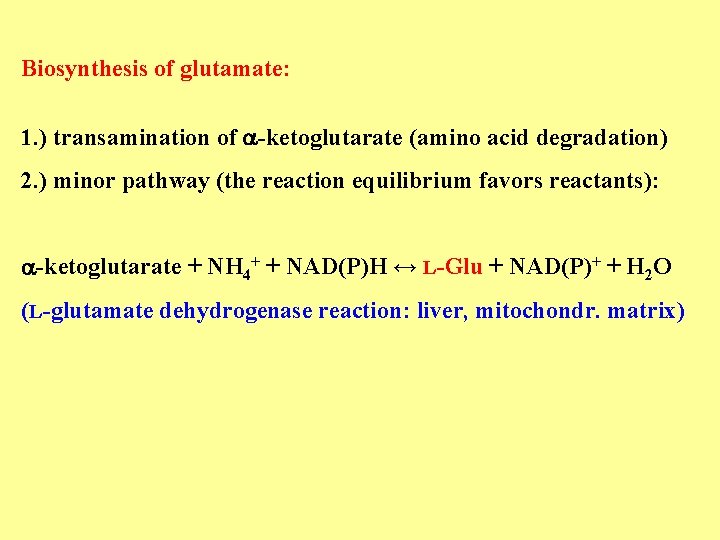 Biosynthesis of glutamate: 1. ) transamination of -ketoglutarate (amino acid degradation) 2. ) minor