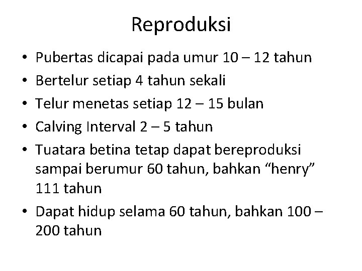 Reproduksi Pubertas dicapai pada umur 10 – 12 tahun Bertelur setiap 4 tahun sekali