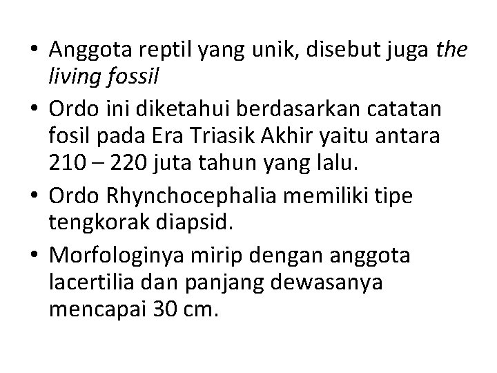  • Anggota reptil yang unik, disebut juga the living fossil • Ordo ini