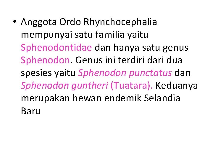  • Anggota Ordo Rhynchocephalia mempunyai satu familia yaitu Sphenodontidae dan hanya satu genus