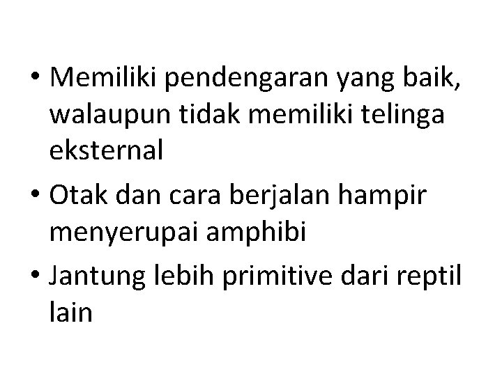  • Memiliki pendengaran yang baik, walaupun tidak memiliki telinga eksternal • Otak dan