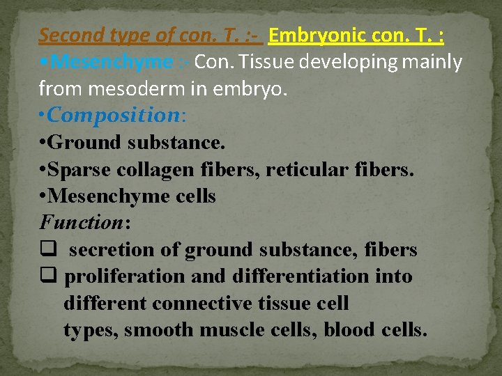 Second type of con. T. : - Embryonic con. T. : • Mesenchyme :